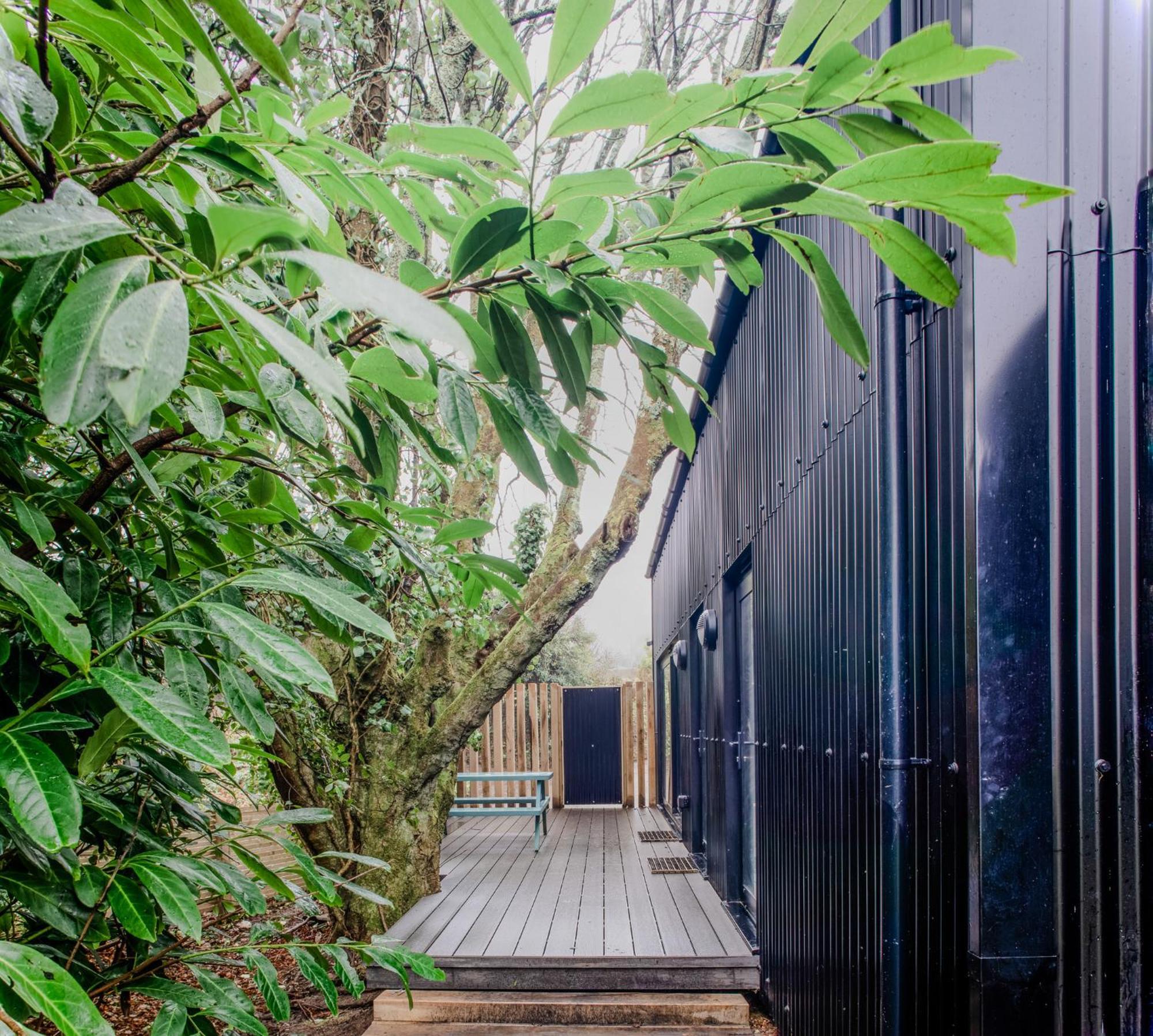 Lowen Tree House Труро Екстер'єр фото